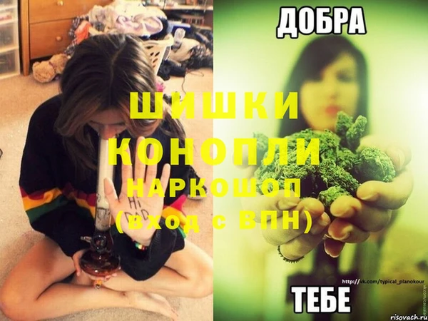 круглые Ельня