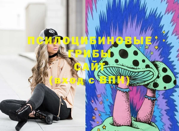 сатива Елизово