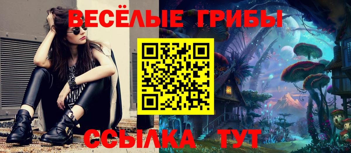 Углич  Псилоцибиновые грибы мицелий  Вход с VPN 