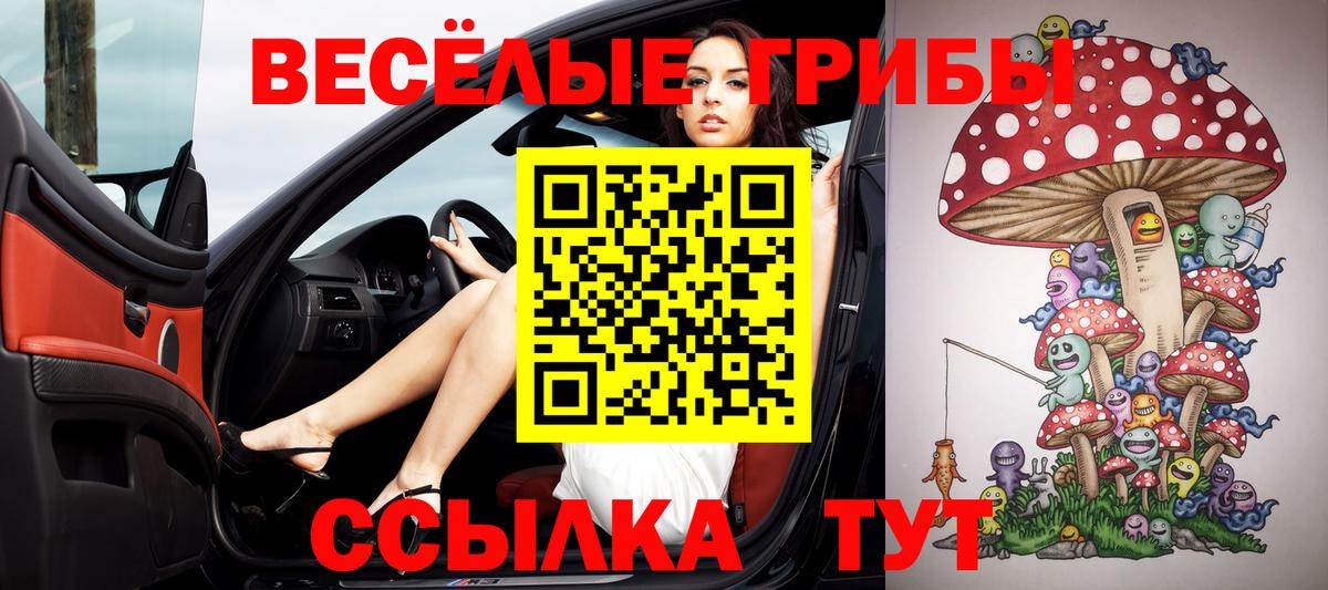 Галлюциногенные грибы ЛСД Углич